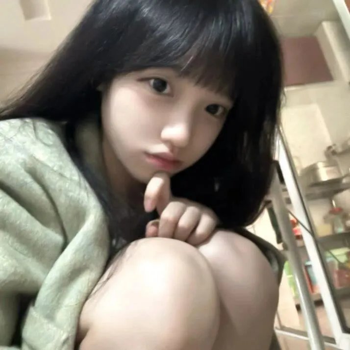 凤舞龙翔